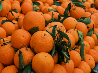 perishable goods logistics optimization